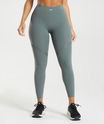 Legginsy Damskie Gymshark Whitney Mesh Szare | PL 2299DFM